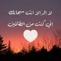 ياسمين حبشي
