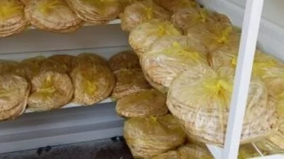 توفير-الخبز-المدعم-عبر-44-منفذاً-في-الدقهلية-بصورة-يومية