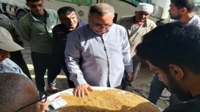 توريد-205-آلاف-طن-قمح-لمواقع-التخزين-والصوامع-بالدقهلية