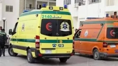 محافظ-الدقهلية-يعزي-ضحايا-حادث-طريق-توشكى-ويؤكد-سرعة-دعم
