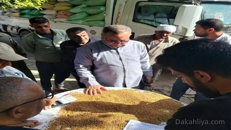 توريد-292-ألف-طن-قمح-لمواقع-التخزين-والصوامع-في-الدقهلية