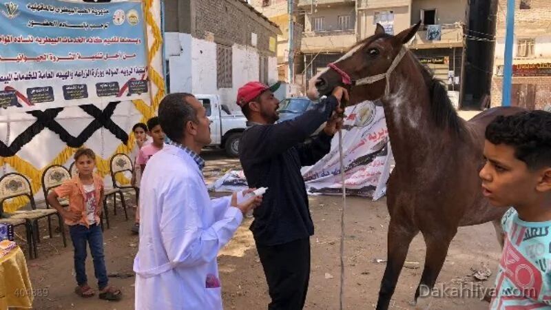 محافظ-الدقهلية-يزور-القافلة-الطبية-البيطرية-المجانية-في-قرية-نشا