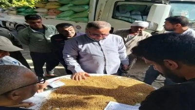توريد-292-ألف-طن-قمح-لمواقع-التخزين-والصوامع-في-الدقهلية