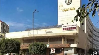 نهاية-مأساوية-داخل-منزل-بالدقهلية-مصرع-شاب-إثر-صعق-كهربائي