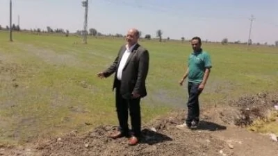 خطة-زراعة-50-ألف-فدان-من-أصناف-الأرز-الموفرة-للمياه