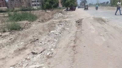 استمرار-حملة-رفع-المخلفات-الصلبة-بالمحاور-الرئيسية-لمدينة-المنصورة-ونقل