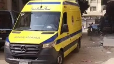 إصابة-4-أشخاص-فى-مشاجرة-بالأسلحة-البيضاء-فى-المنزلة-الجديدة