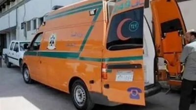 إصابة سيدة وطفلة إثر حادث دهس حصان عربة كارو في الدقهلية