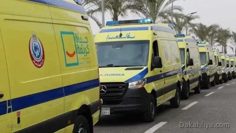 إصابة طفل بطلقة نارية في الجبهة داخل منزله بالدقهلية بالخطأ خلال عبث ببندقية عصافير