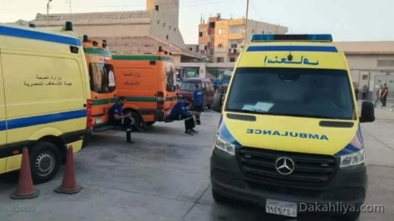 مصرع صبي إثر سقوطه في ترعة الخمسة بتمي الأمديد في الدقهلية