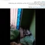 خلافات الجيرة تفضي إلى القبض على طرفي مشاجرة بالدقهلية